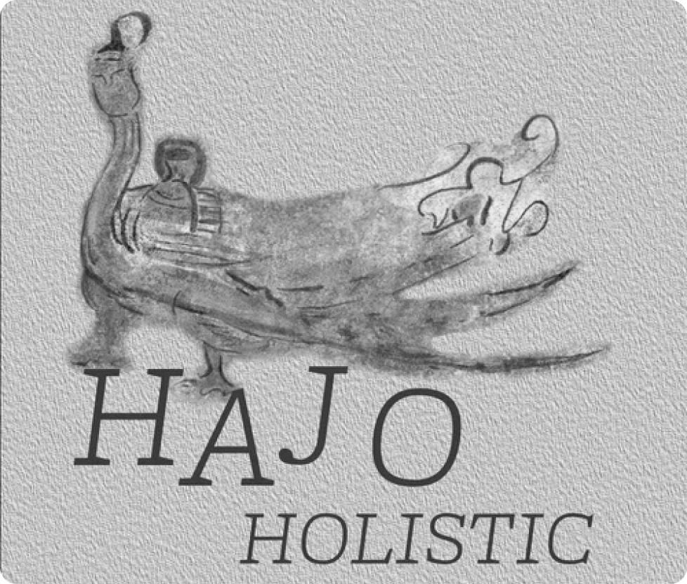 Logo for Hajo Holistic featuring an ink-brush illustration of a dragon and a figure in traditional dress above the text Hajo Holistic.