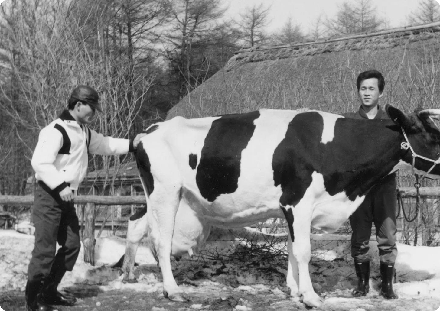 Two men stand on either side of a Holstein dairy cow in a snowy farmyard with a thatched-roof building and bare trees in the background in a black-and-white photograph.