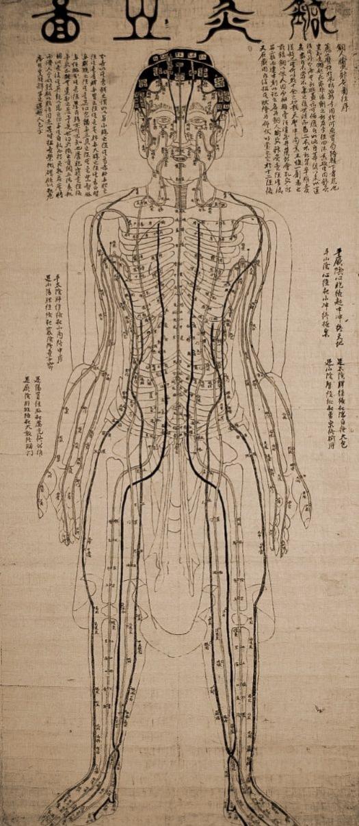 A diagram of acupuncture points on the human body at the National Museum of Korea.